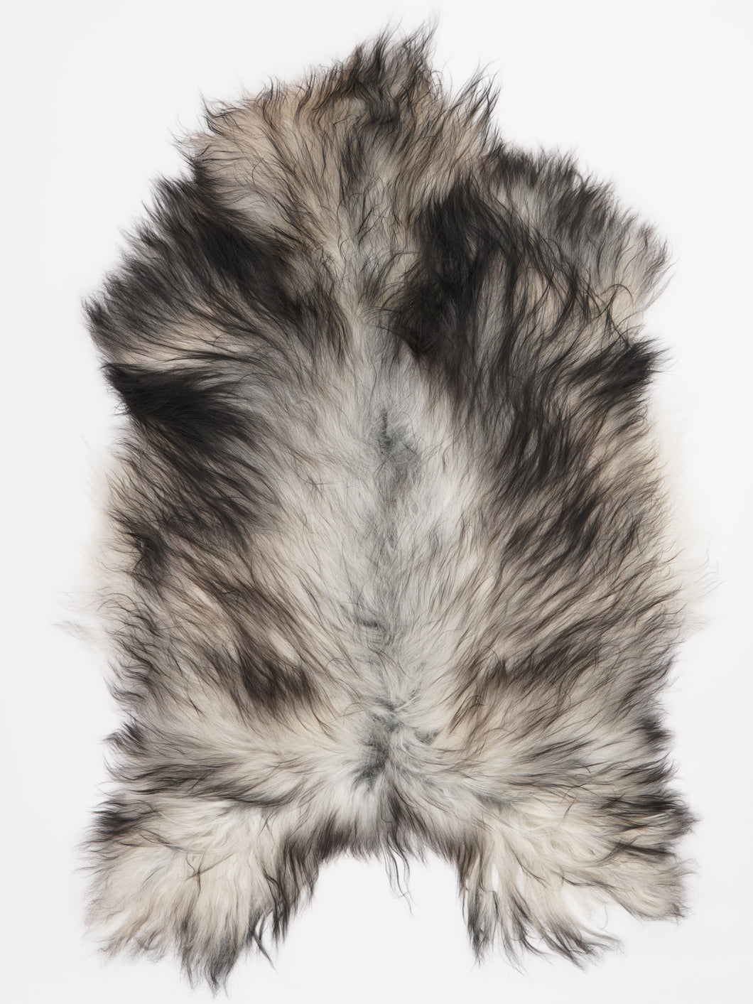 Pelēka Islandes aitāda XL