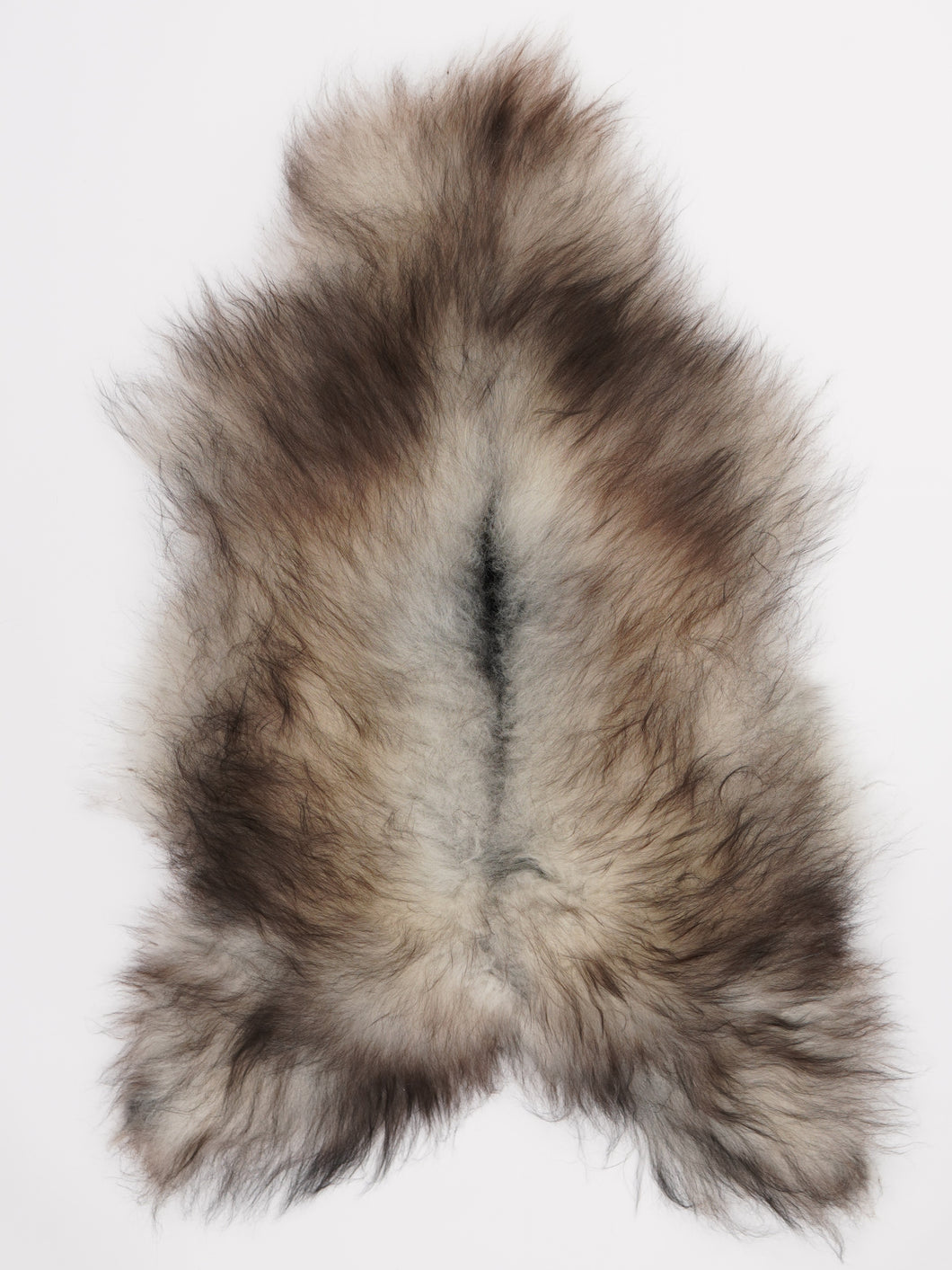 Pelēka islandiešu aitāda L