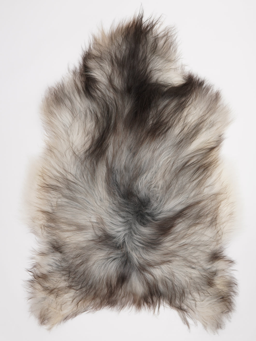 Pelēka Islandes aitāda XXL