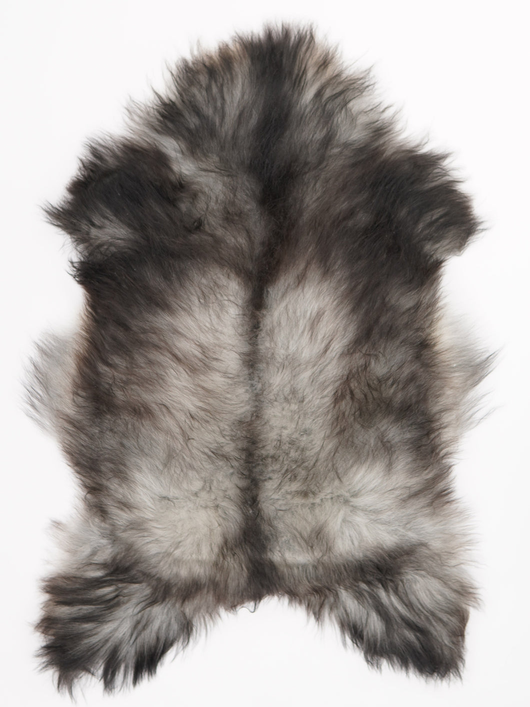 Pelēka islandiešu aitāda L