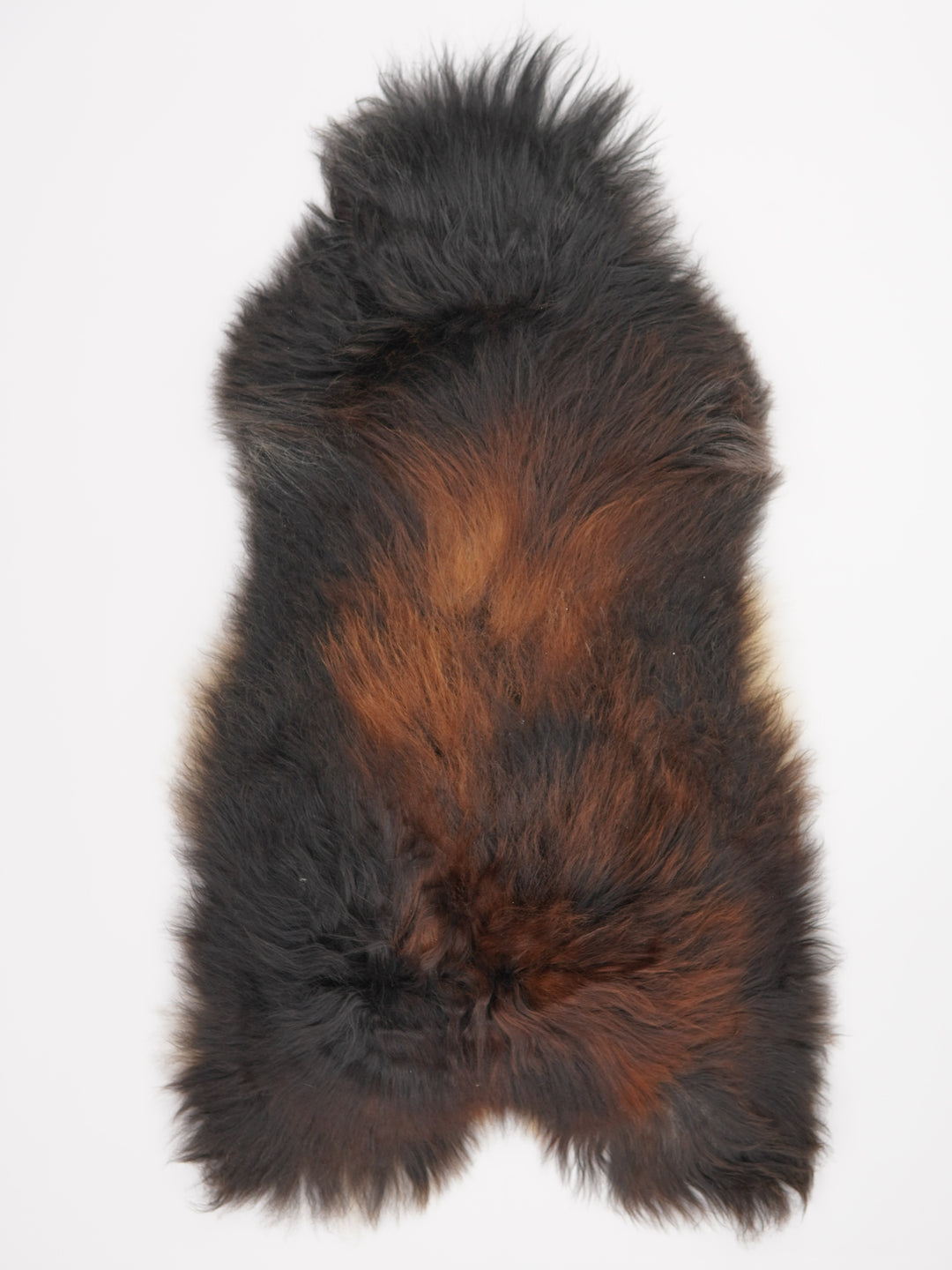 Islandes aitāda "Lava" XXL