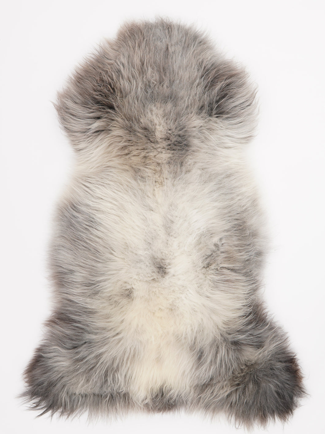 Įvairiaspalvis avikailis XL