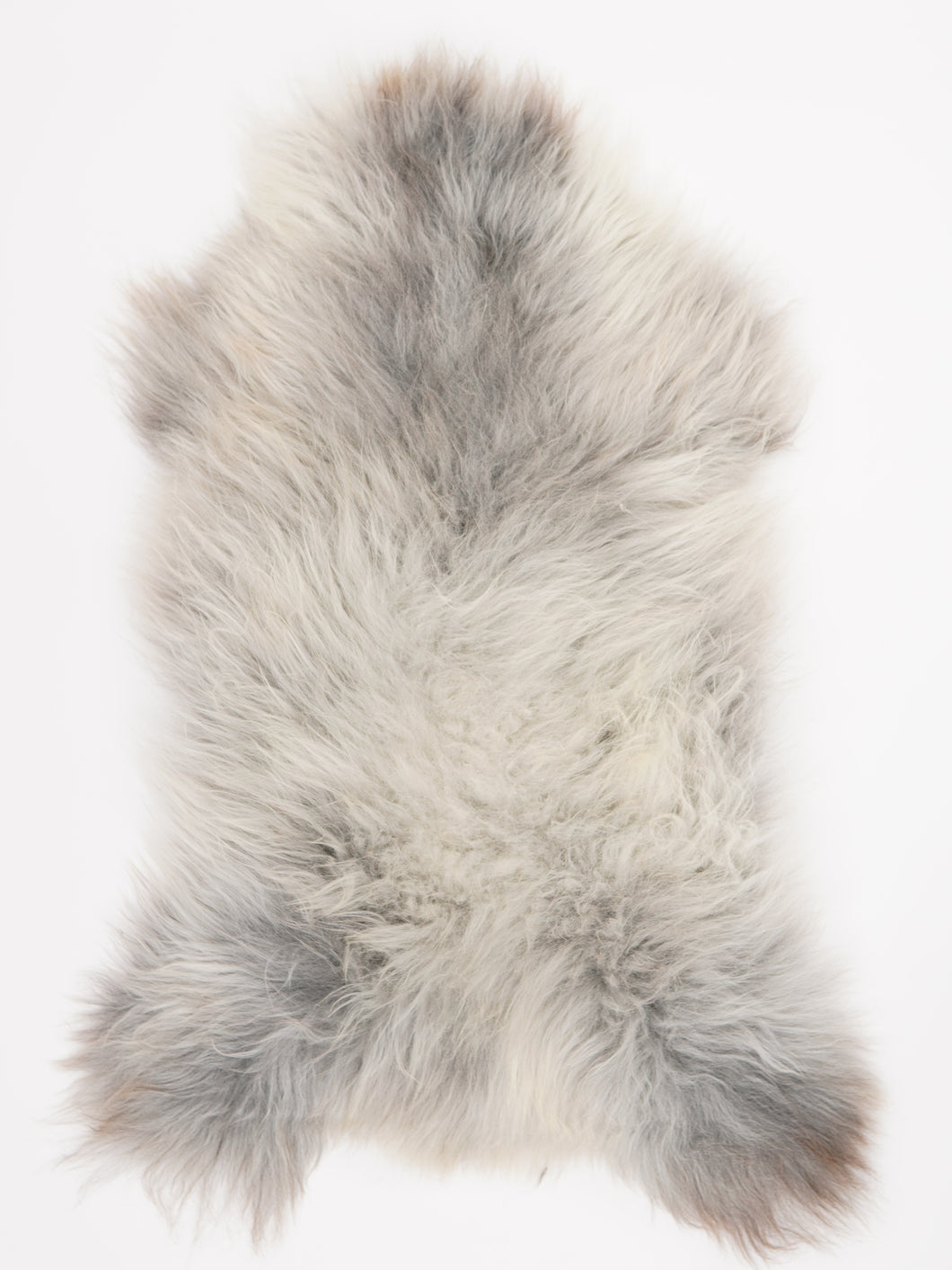 Įvairiaspalvis avikailis XL