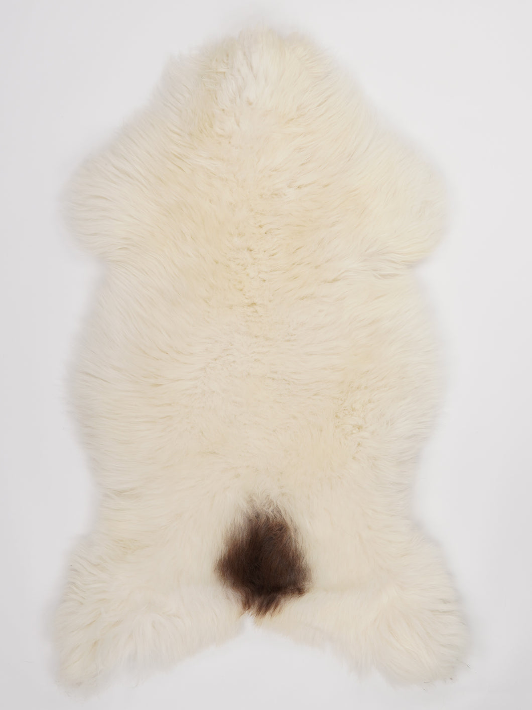 Įvairiaspalvis avikailis XL