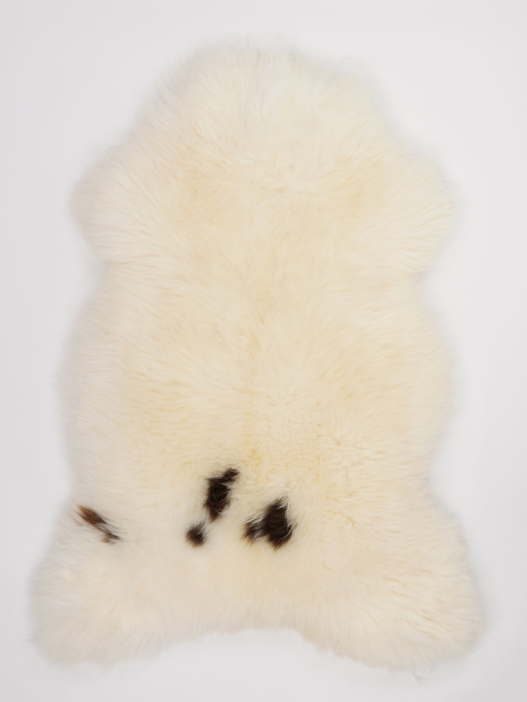 Įvairiaspalvis avikailis XL