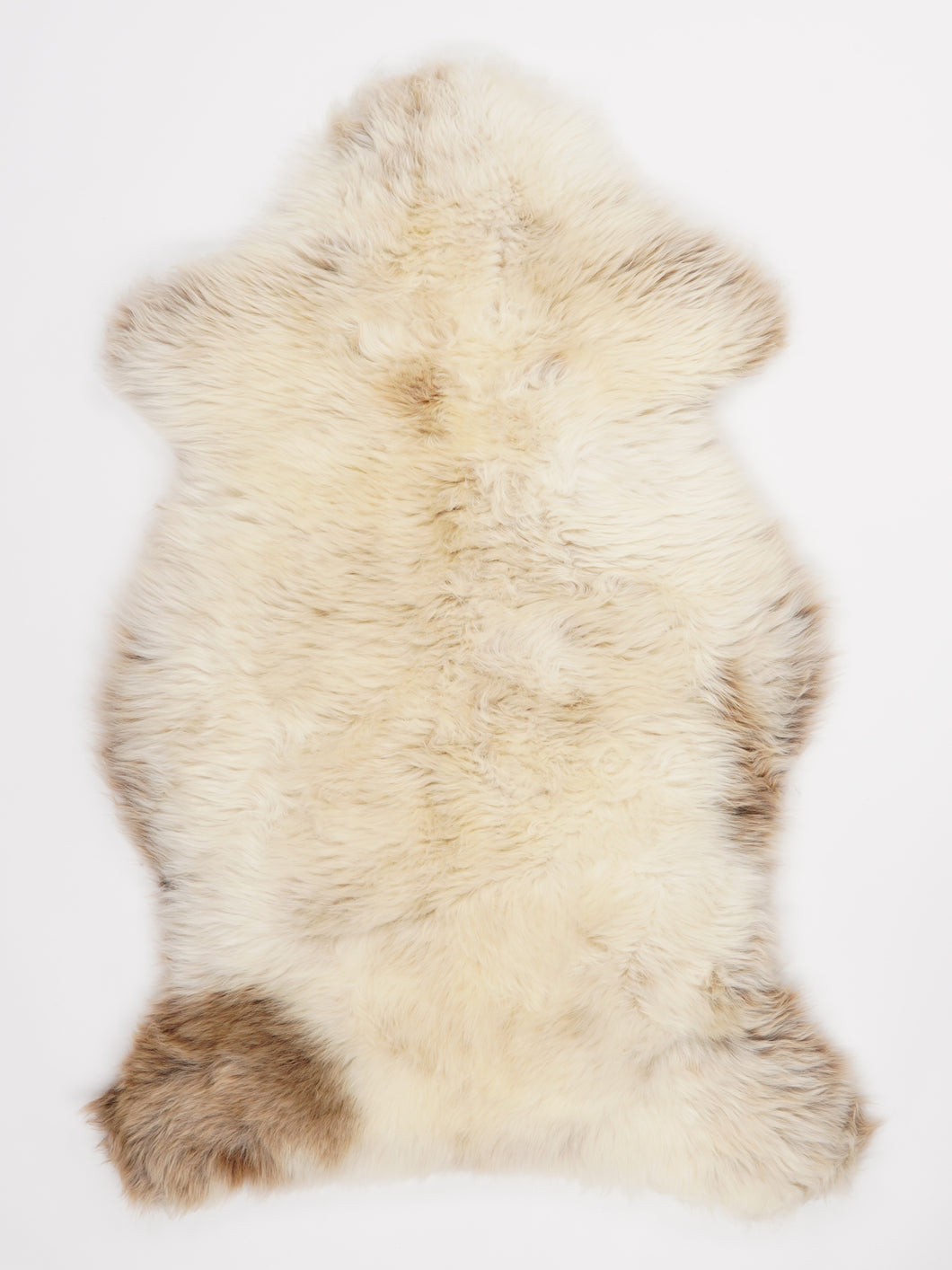 Įvairiaspalvis avikailis XL