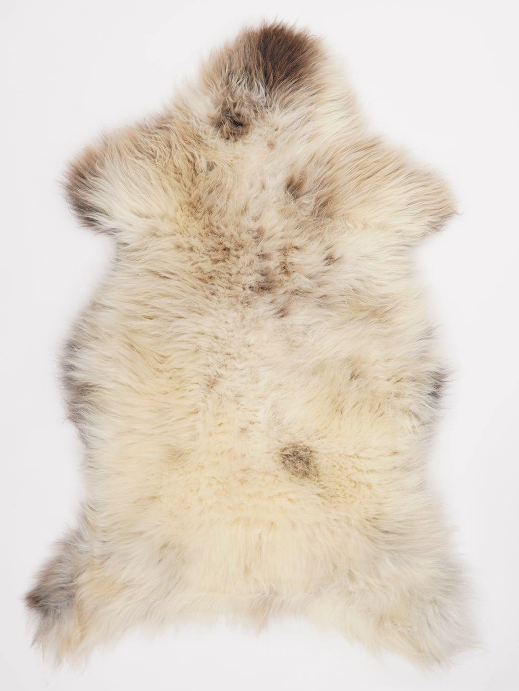 Įvairiaspalvis avikailis XL