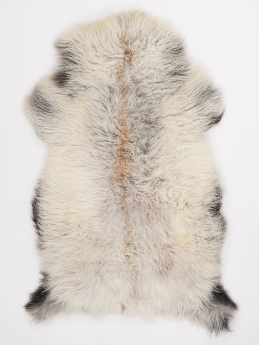 Įvairiaspalvis avikailis XL