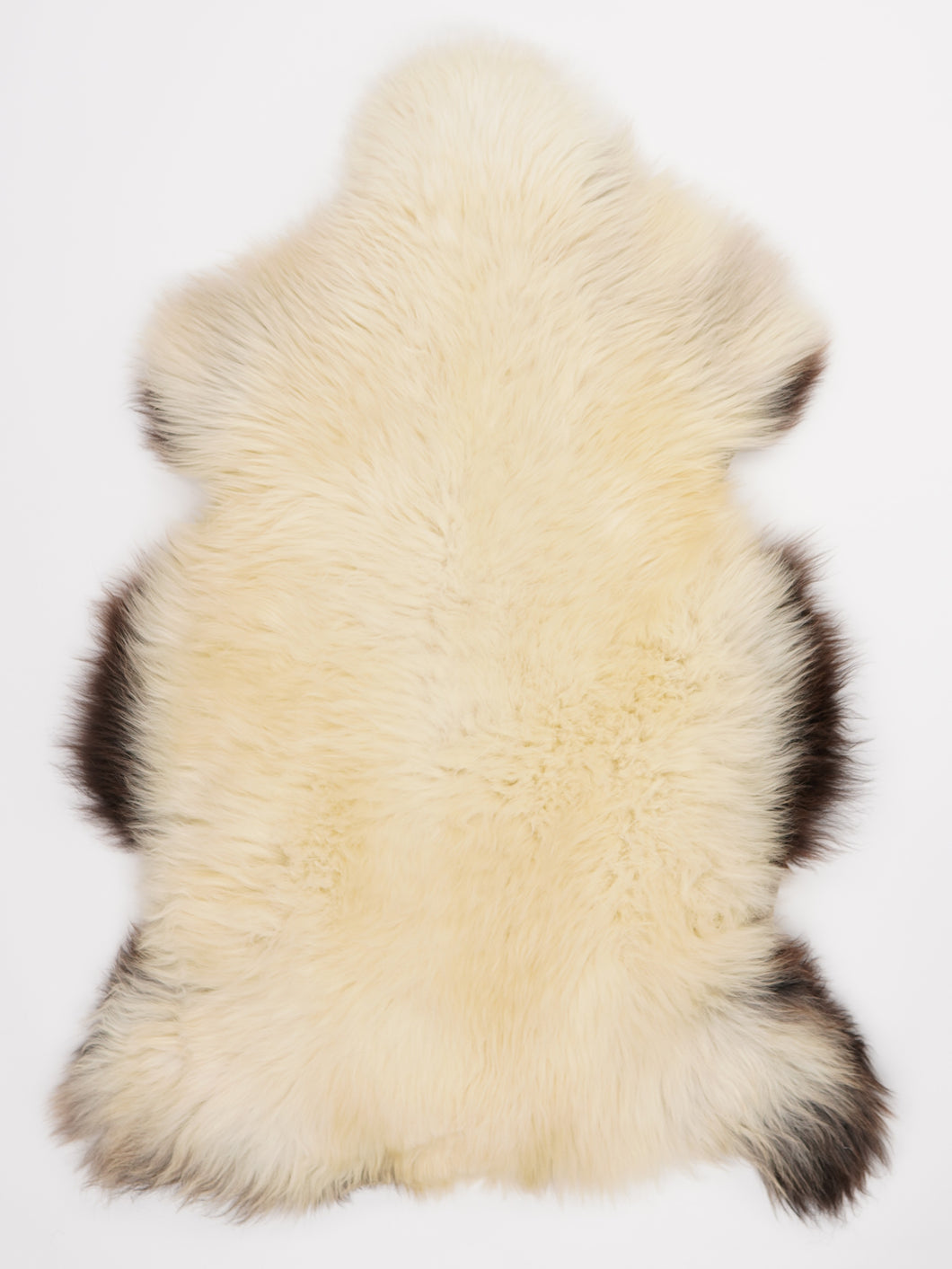 Įvairiaspalvis avikailis XL