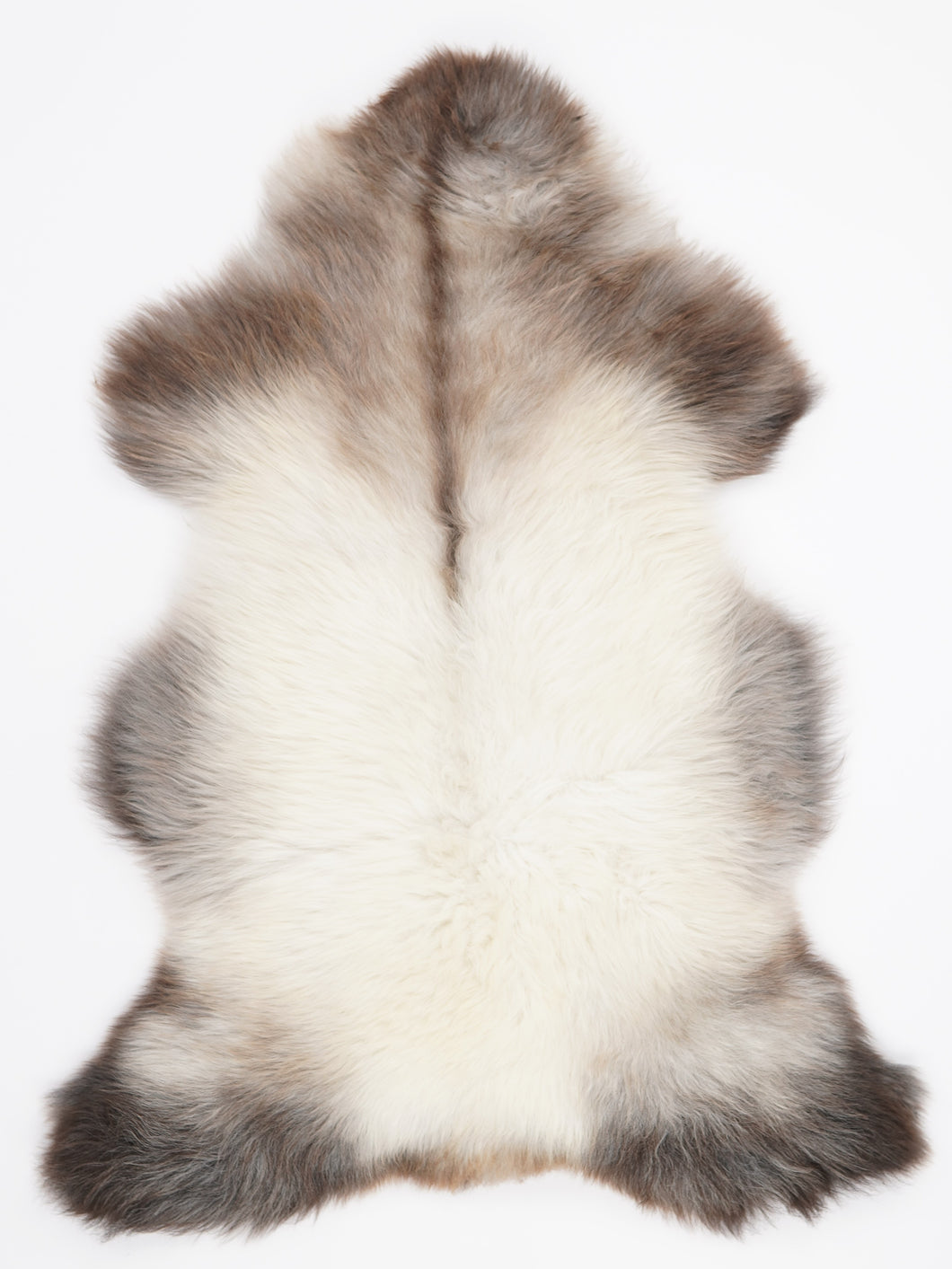 Įvairiaspalvis avikailis XL