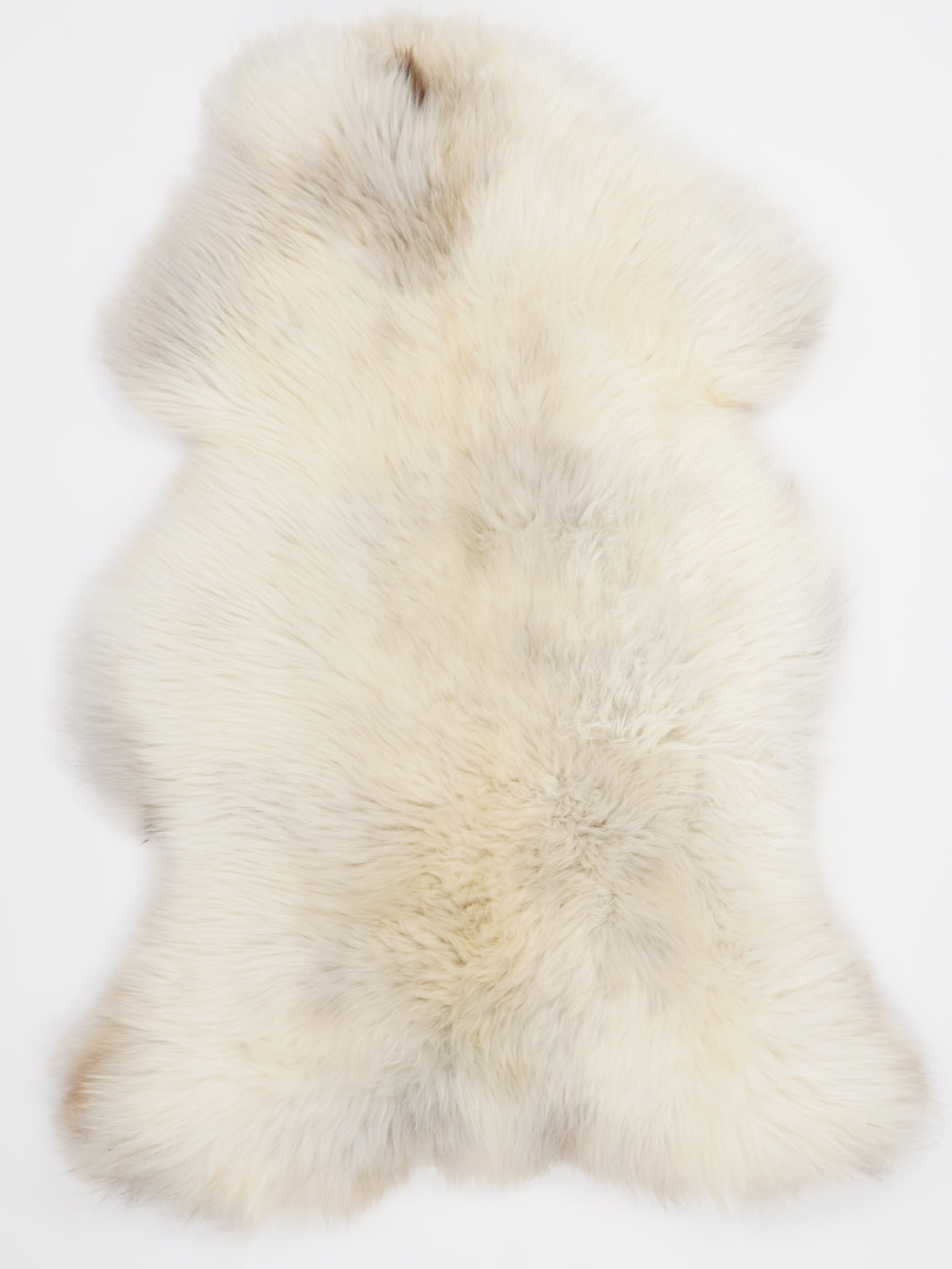 Įvairiaspalvis avikailis XL