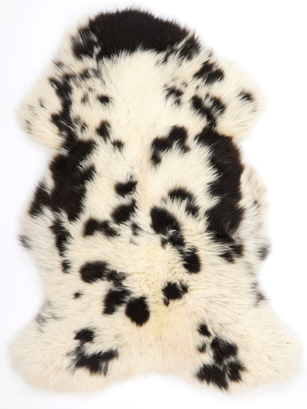 Įvairiaspalvis avikailis XL