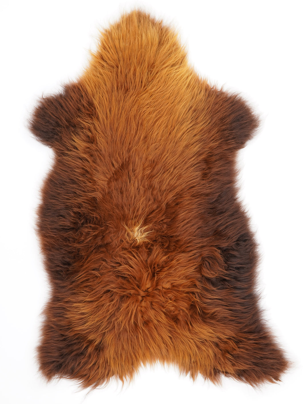 Įvairiaspalvis avikailis XL