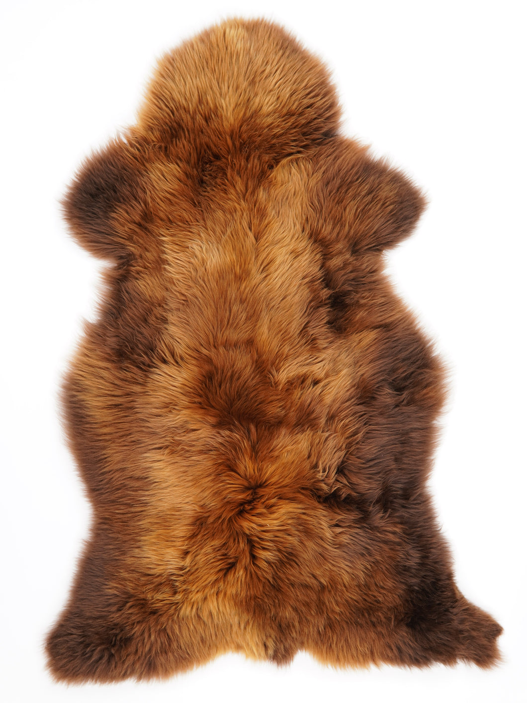 Daudzkrāsaina aitāda XXXL