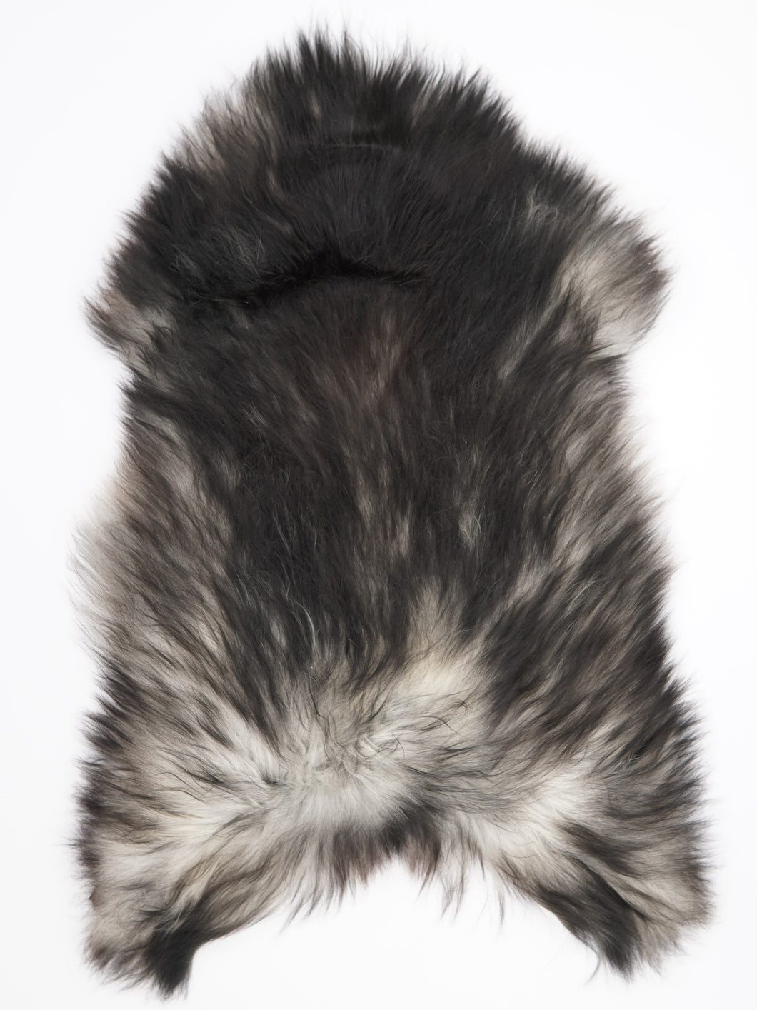 Pilkas islandiškas avikailis XL