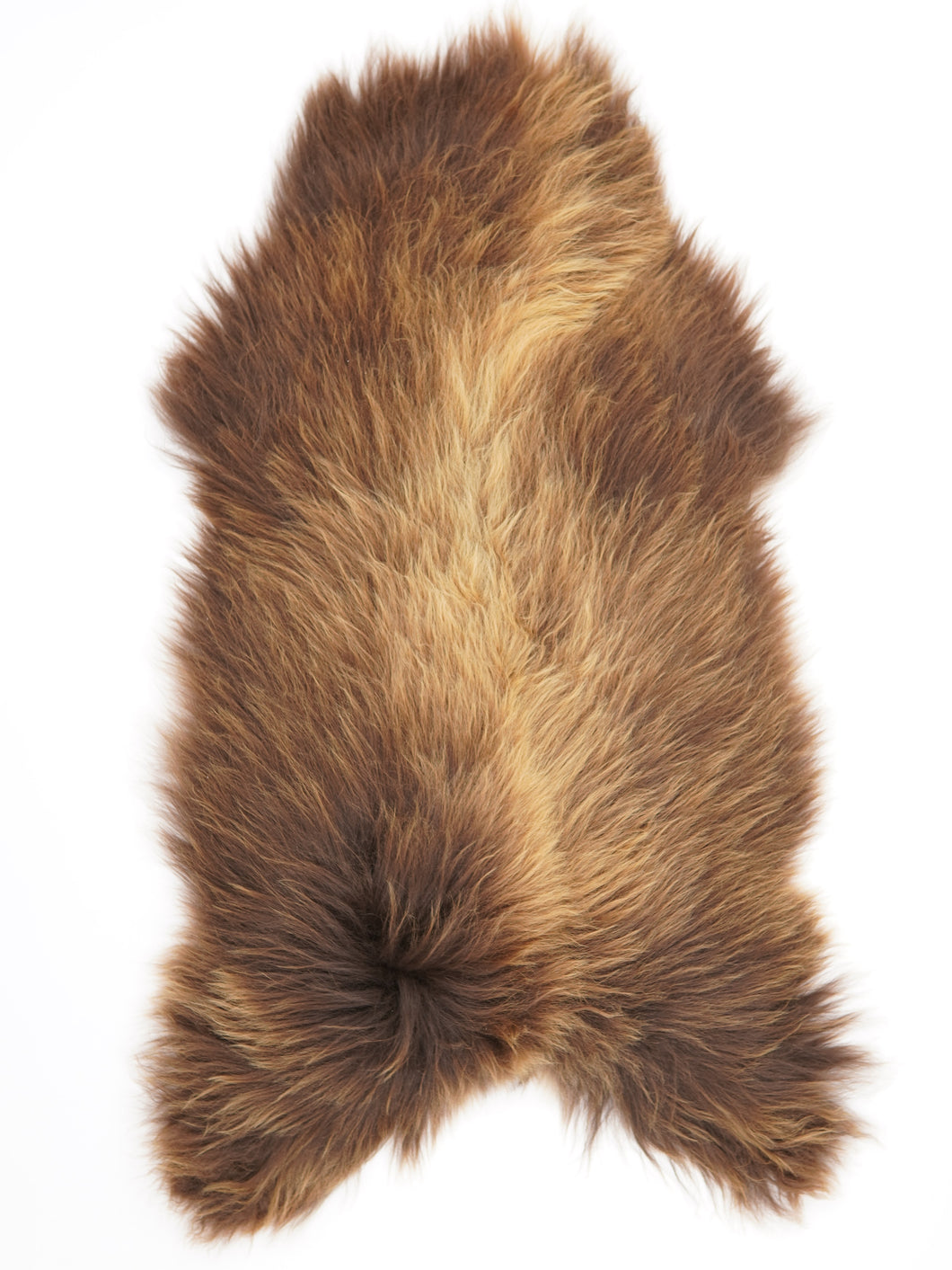 Islandes aitāda XXL 