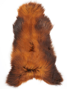 Islandes aitāda XXXL 