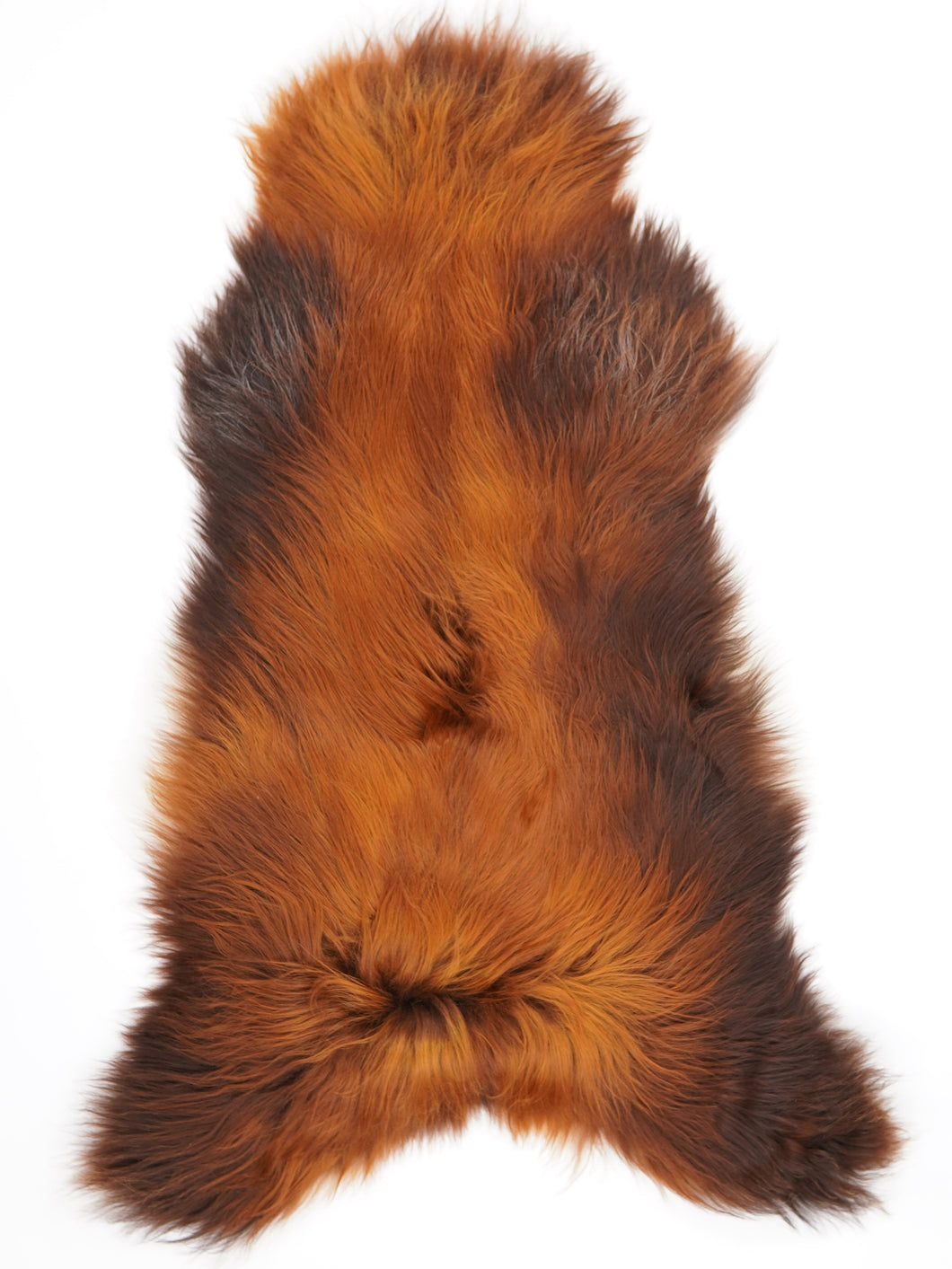 Islandes aitāda XXXL 