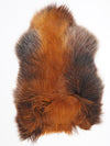 Islandes aitāda L