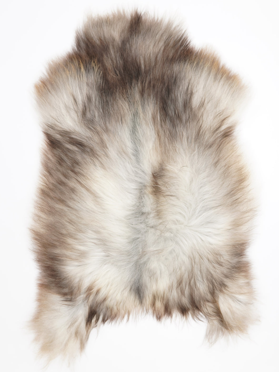 Pilkas islandiškas avikailis XXL