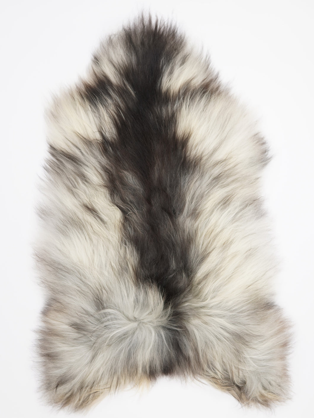 Pelēka Islandes aitāda XXL 