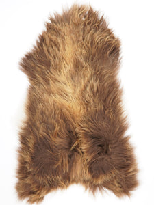 Islandes aitāda XXL 