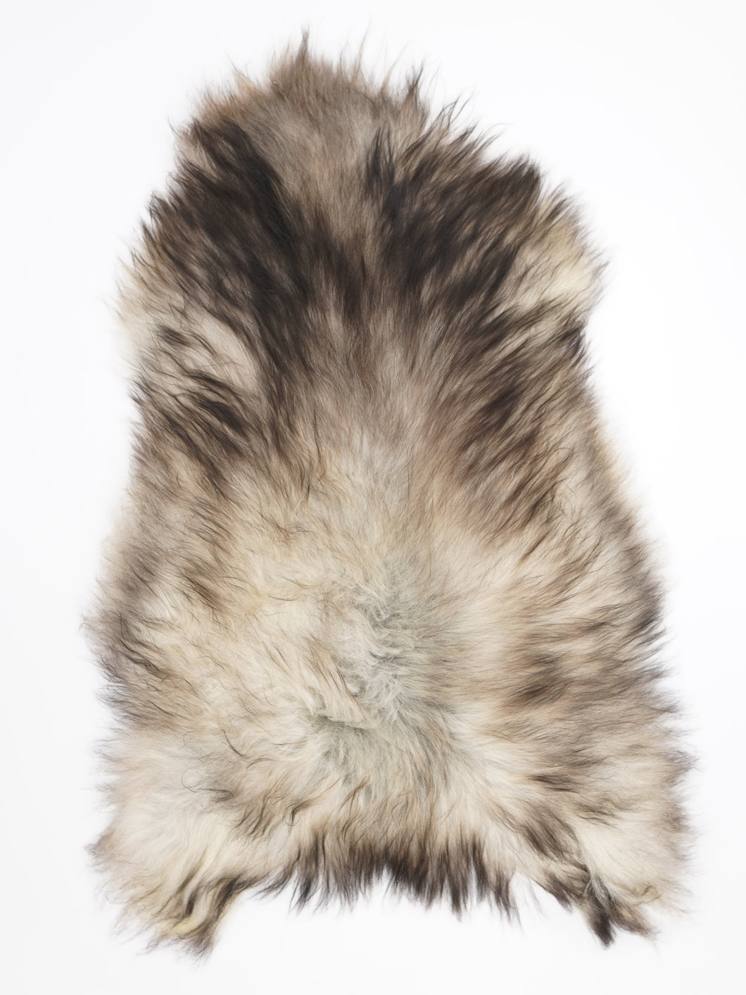 Pelēka Islandes aitāda XXL 