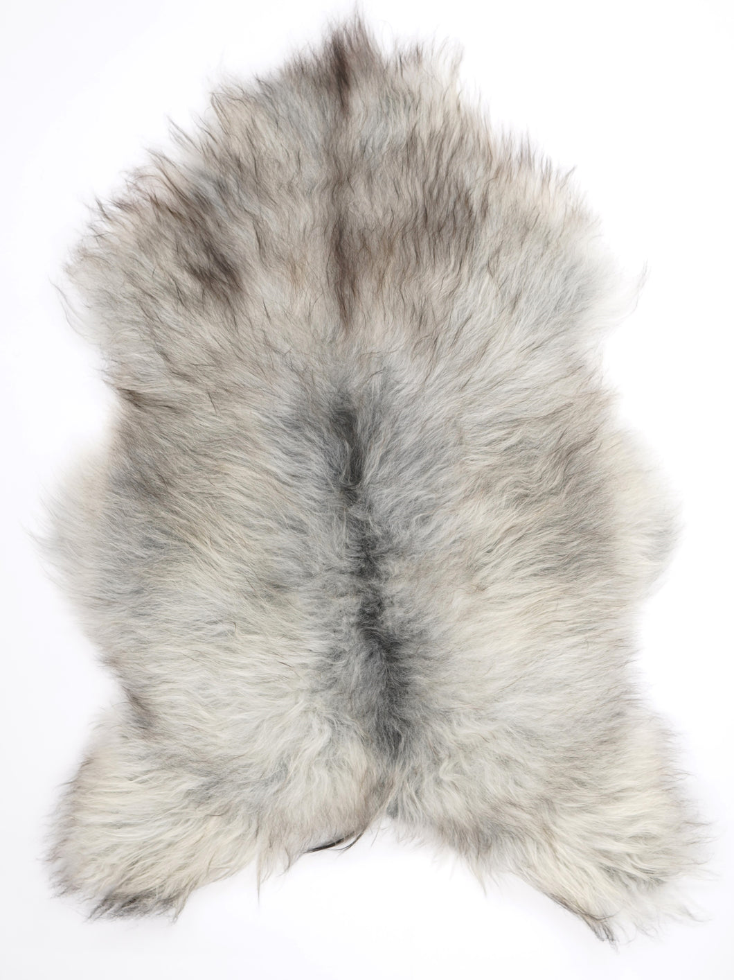 Pilkas islandiškas avikailis XL