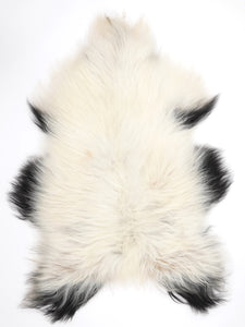 Islandes aitāda XXL 