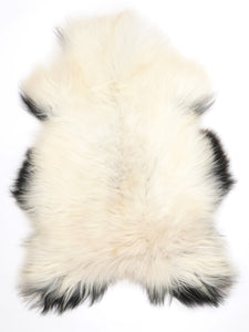 Islandes aitāda XL 