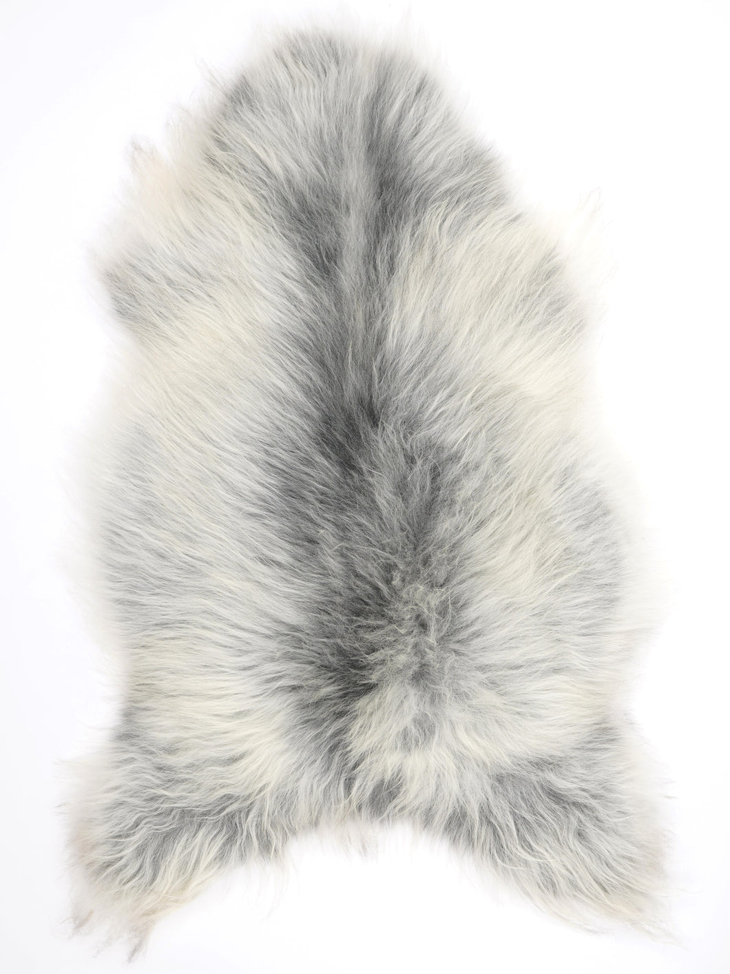 Pilkas islandiškas avikailis XL