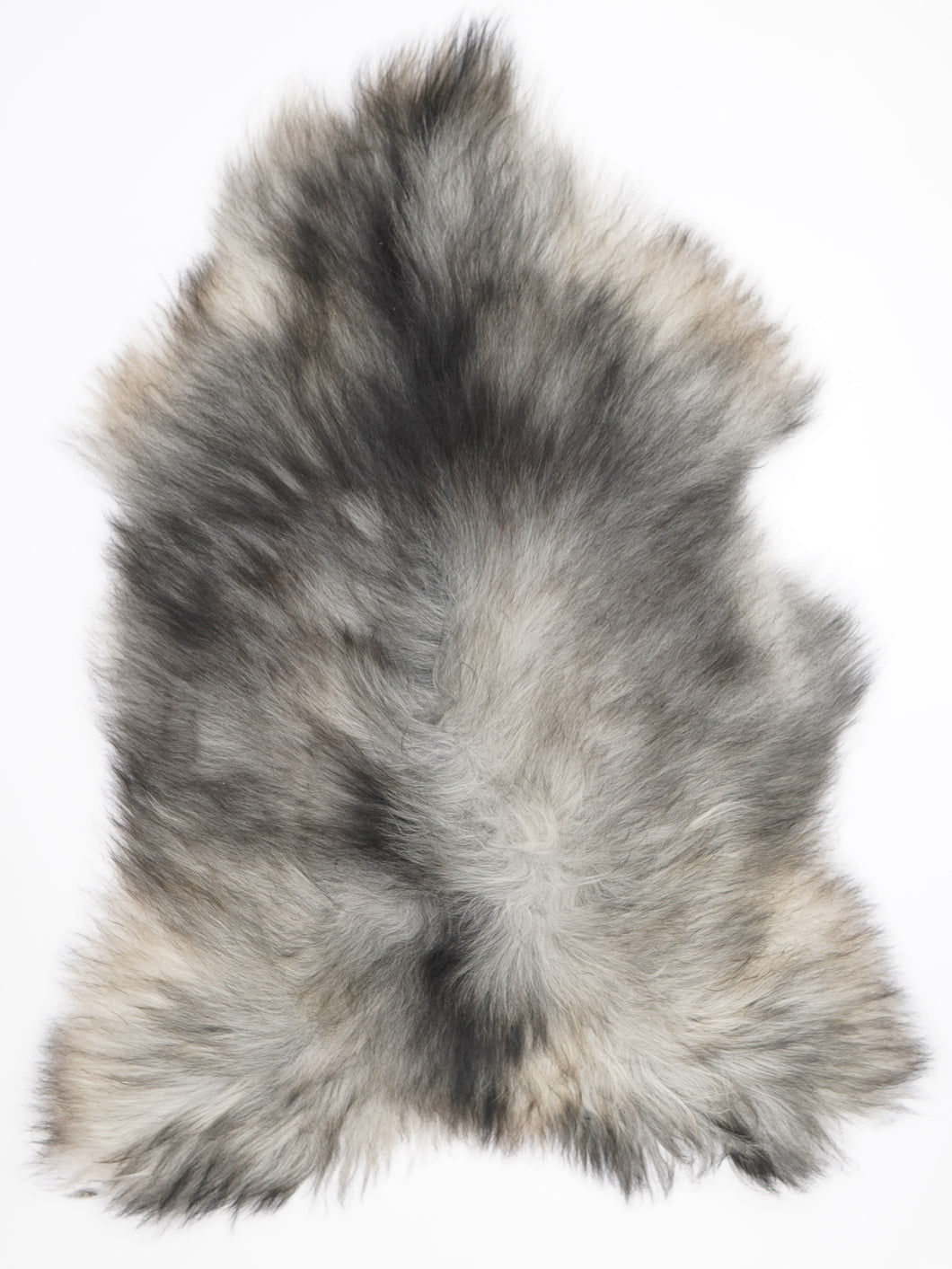 Pelēka Islandes aitāda XXL 