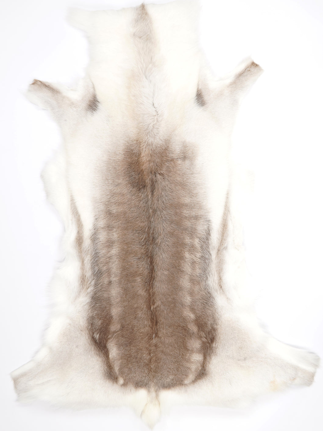 Ziemeļbriežu kažokādas XXXL 