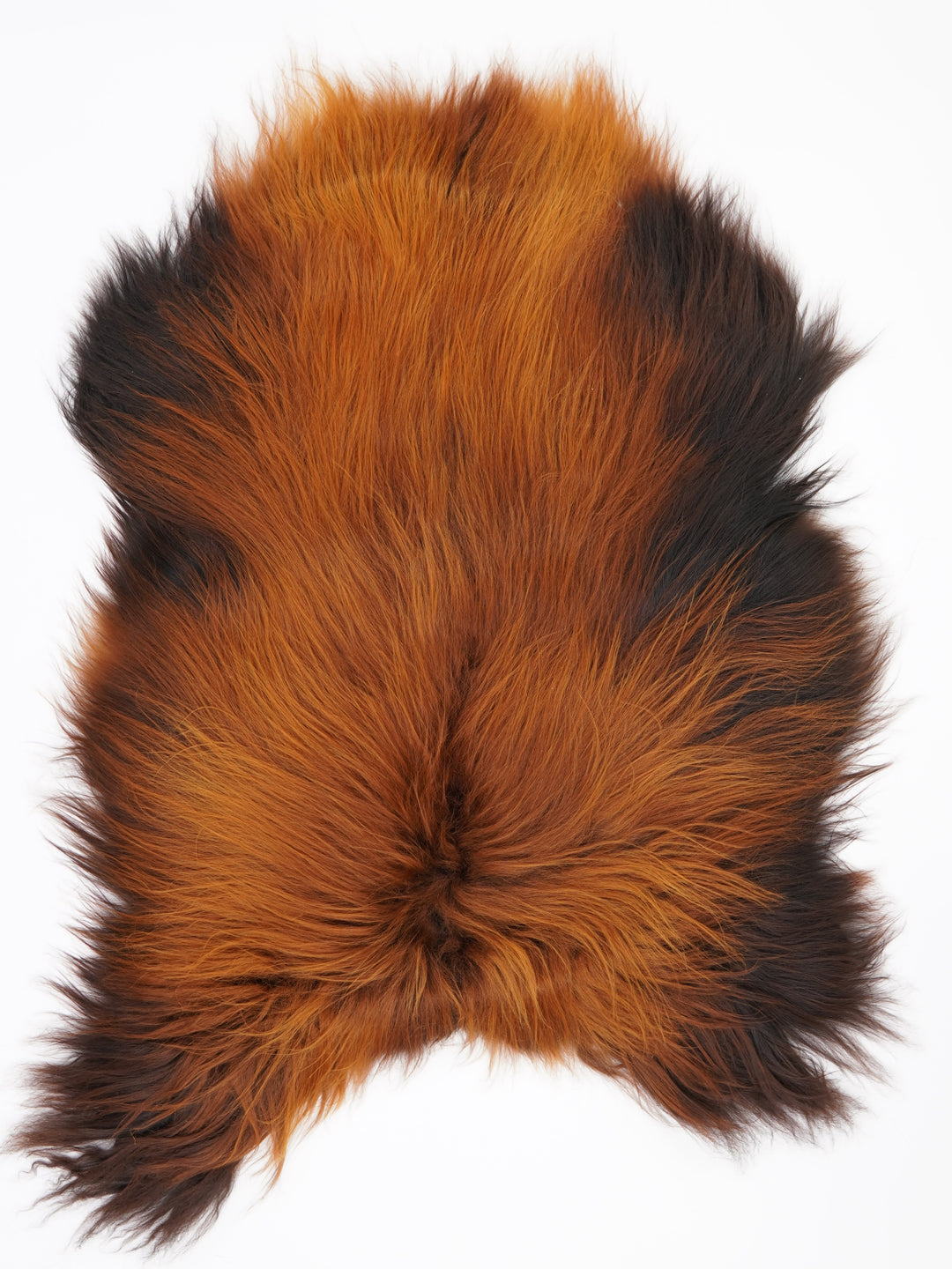Islandes aitādas "Rusty" L 