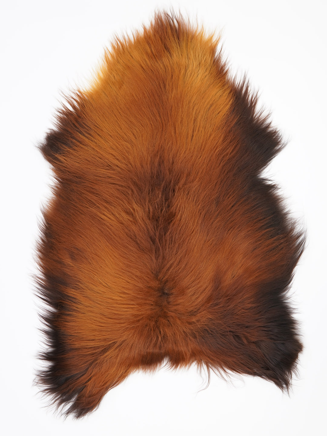 Islandes aitāda "Rusty" L