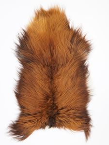 Islandes aitādas "Rusty" L 