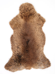 Brūna aitāda XXXL