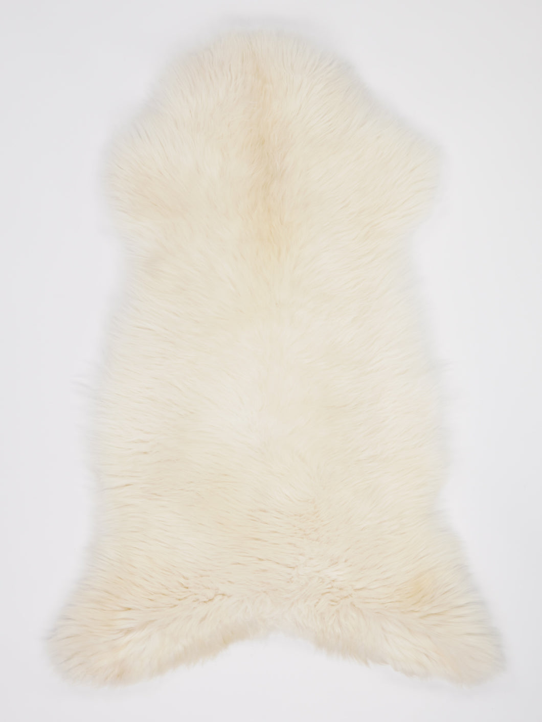 Skandinaviškas baltas avikailis XL