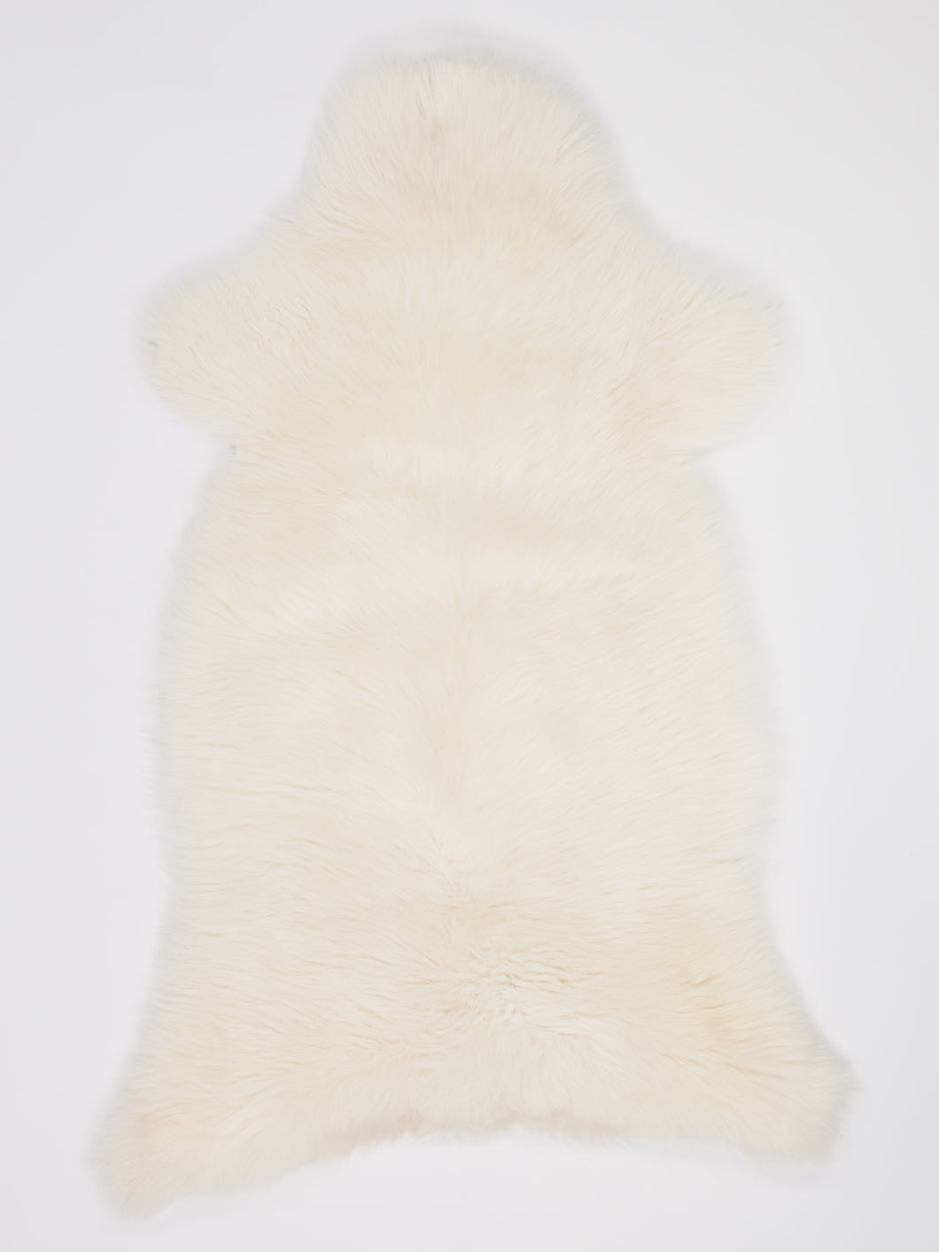 Skandinaviškas baltas avikailis XL