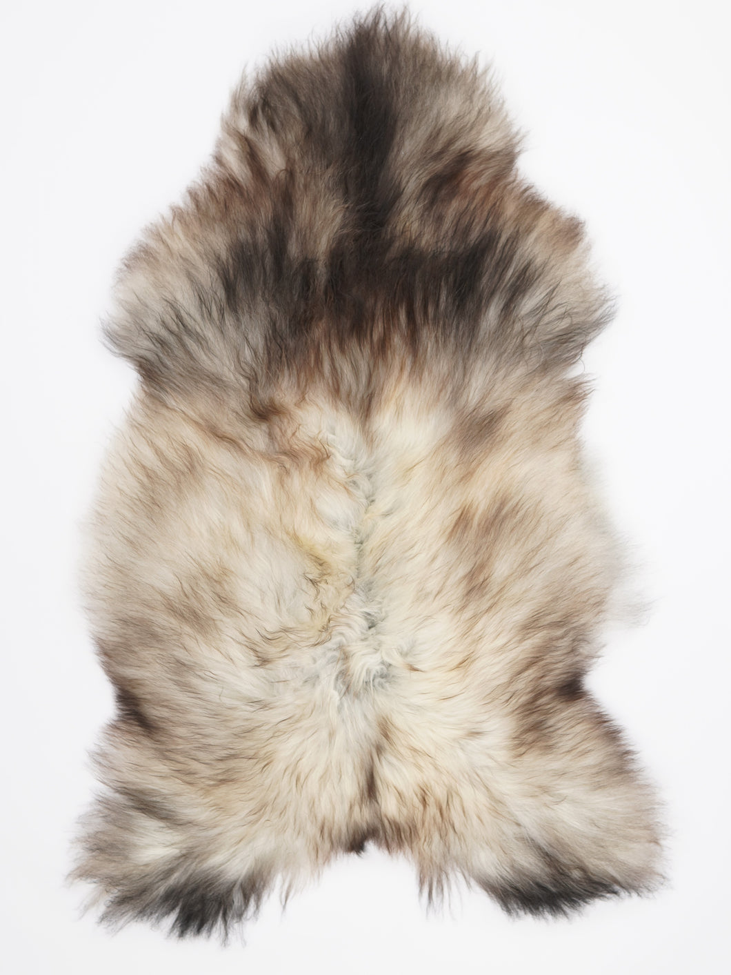 Pelēka Islandes aitāda XXL 