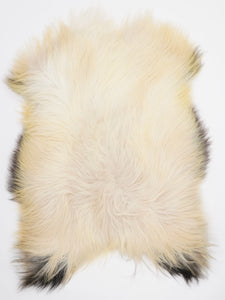 Islandes aitāda XL 