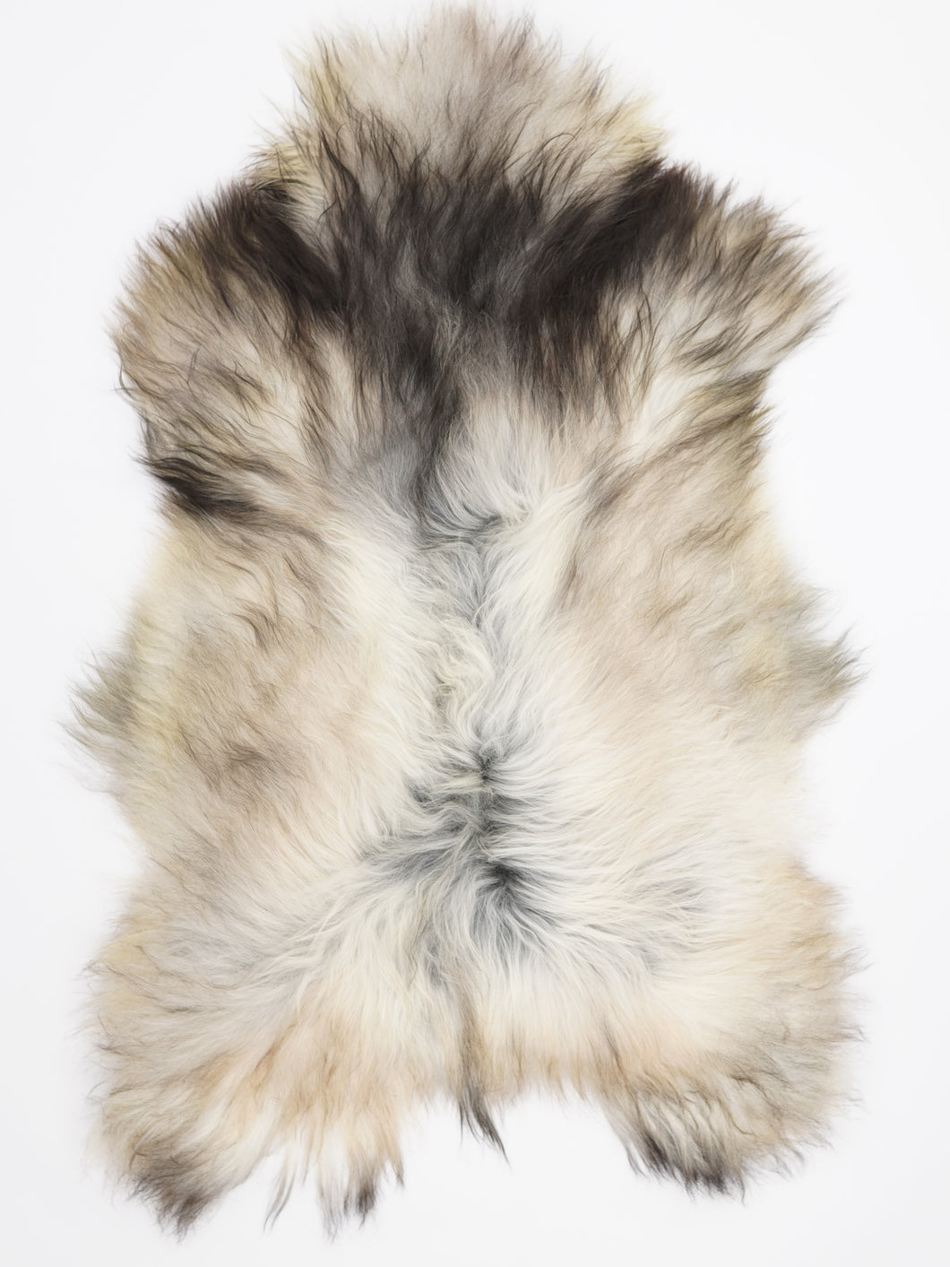 Pelēka Islandes aitāda XXL 