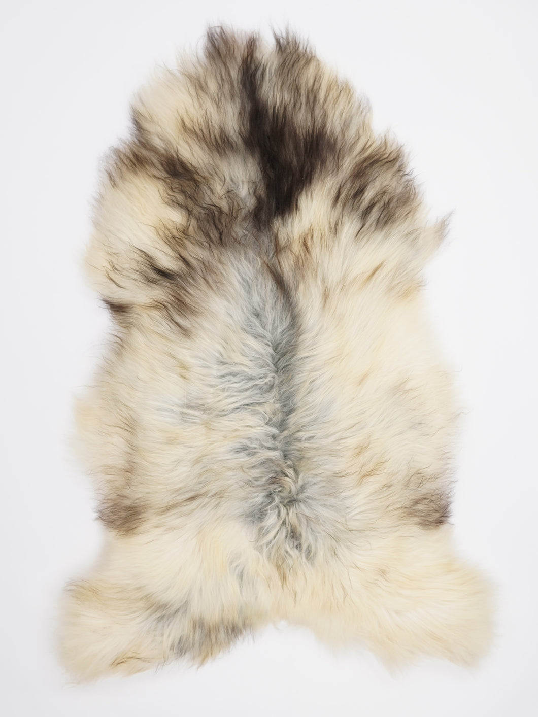 Pelēka Islandes aitāda XXL 