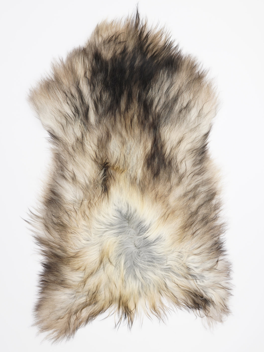 Pilkas islandiškas avikailis XL