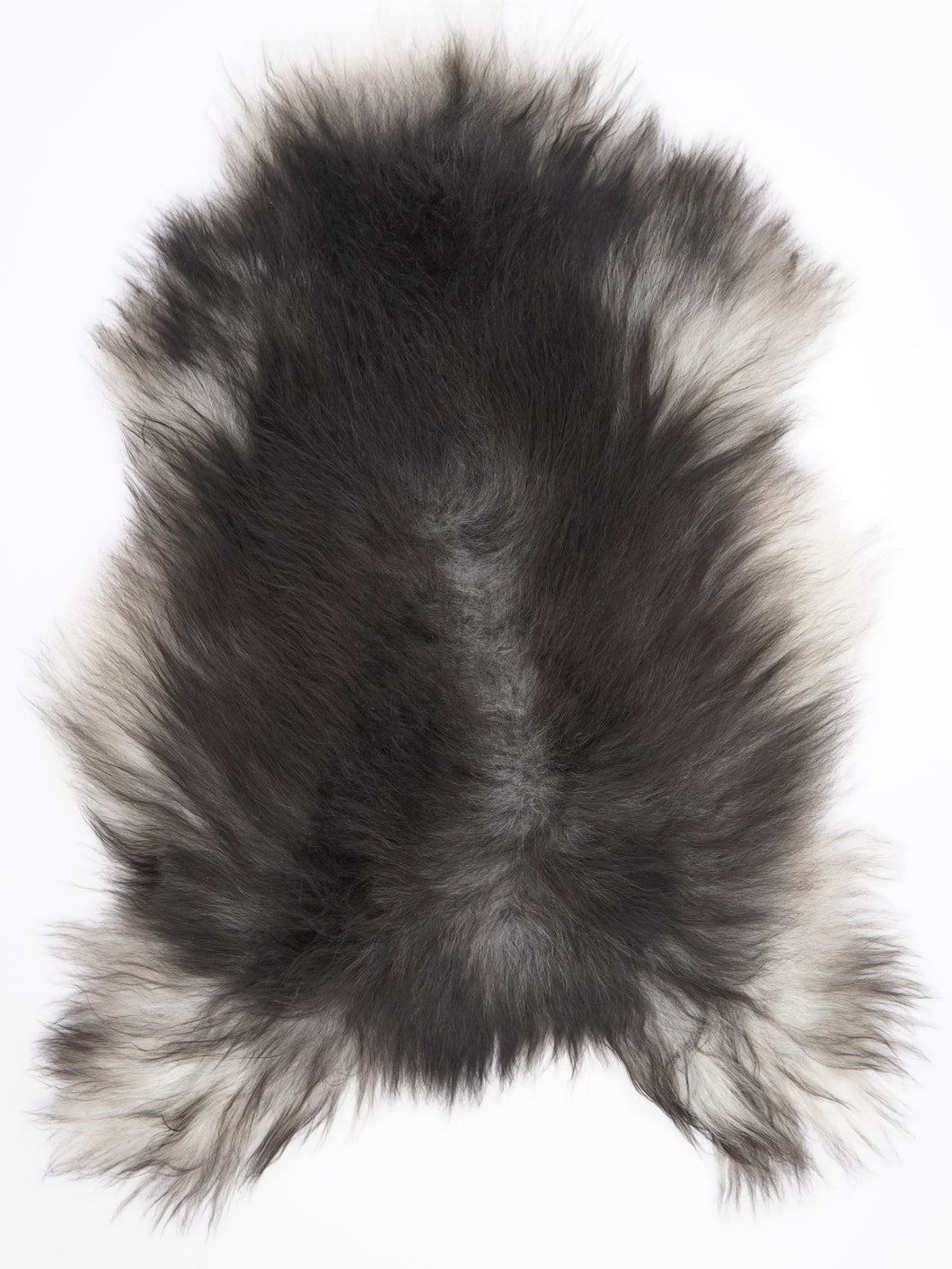 Pelēka Islandes aitāda XXL 