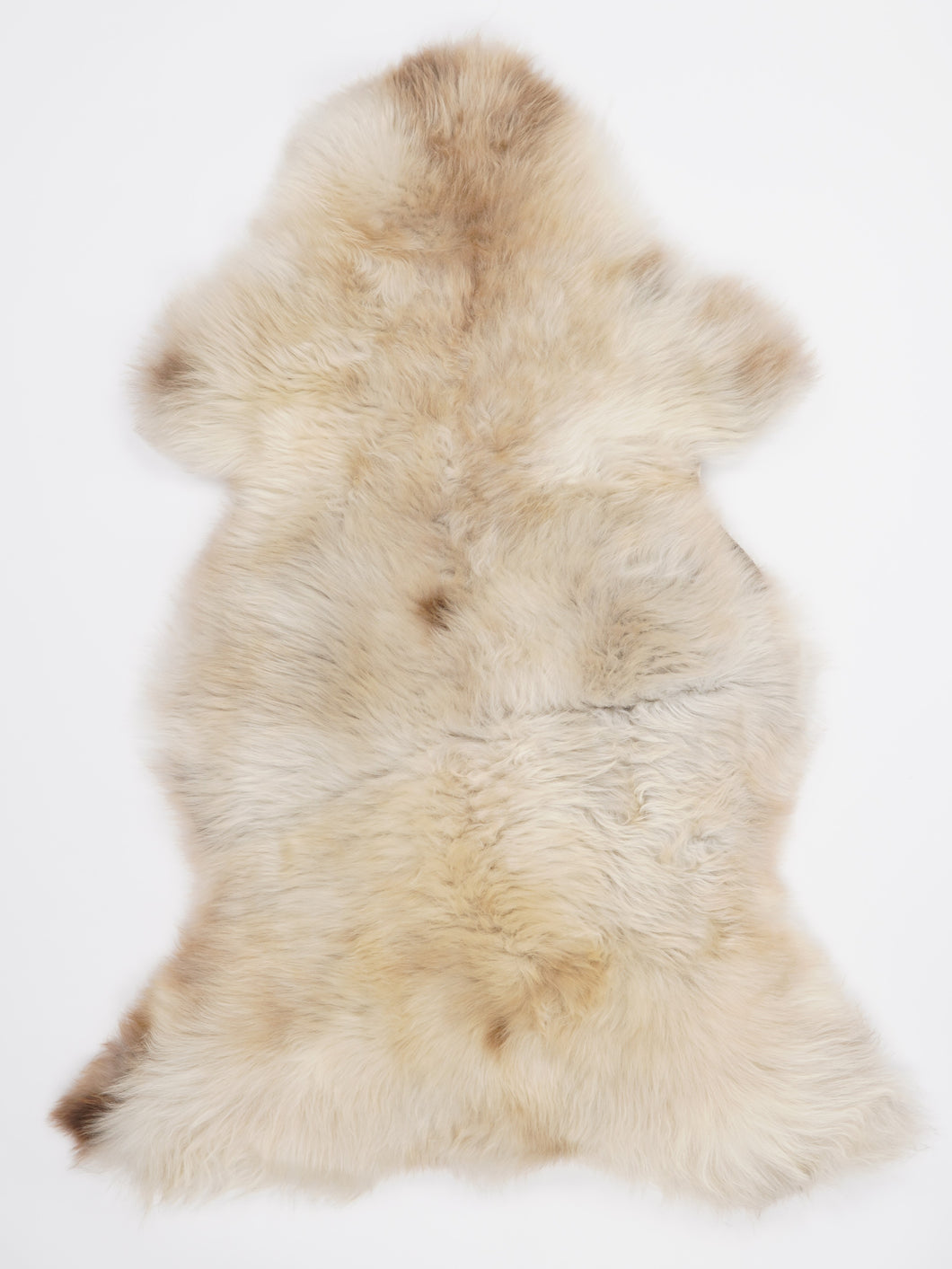 Įvairiaspalvis avikailis XL