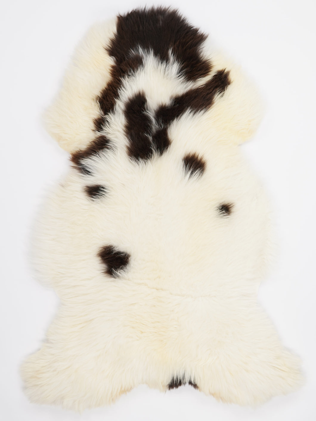 Įvairiaspalvis avikailis XL