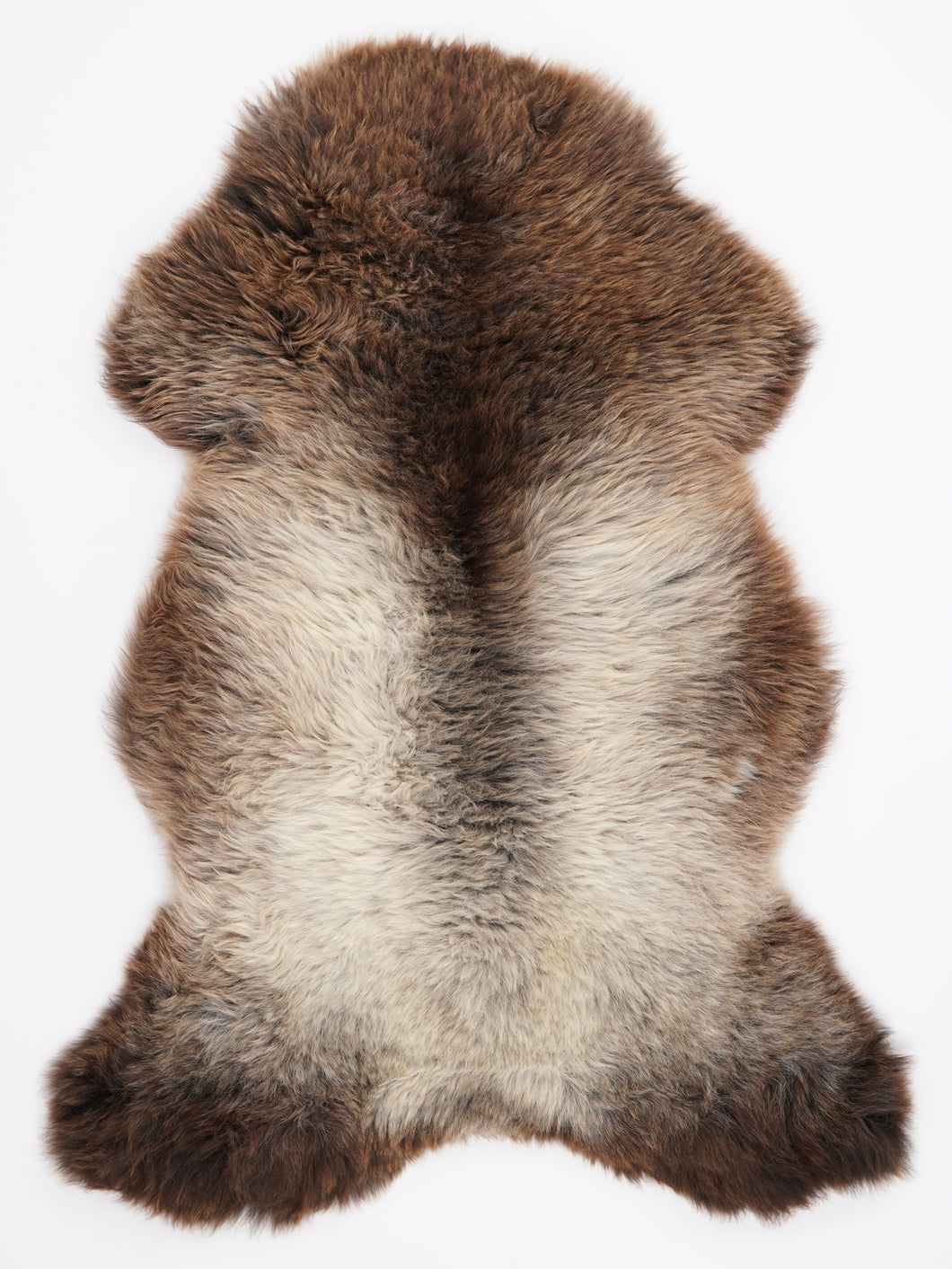 Įvairiaspalvis avikailis XL