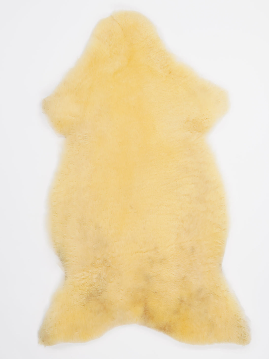 Medicīniskā aitāda XL (īpaši īsi mati) 