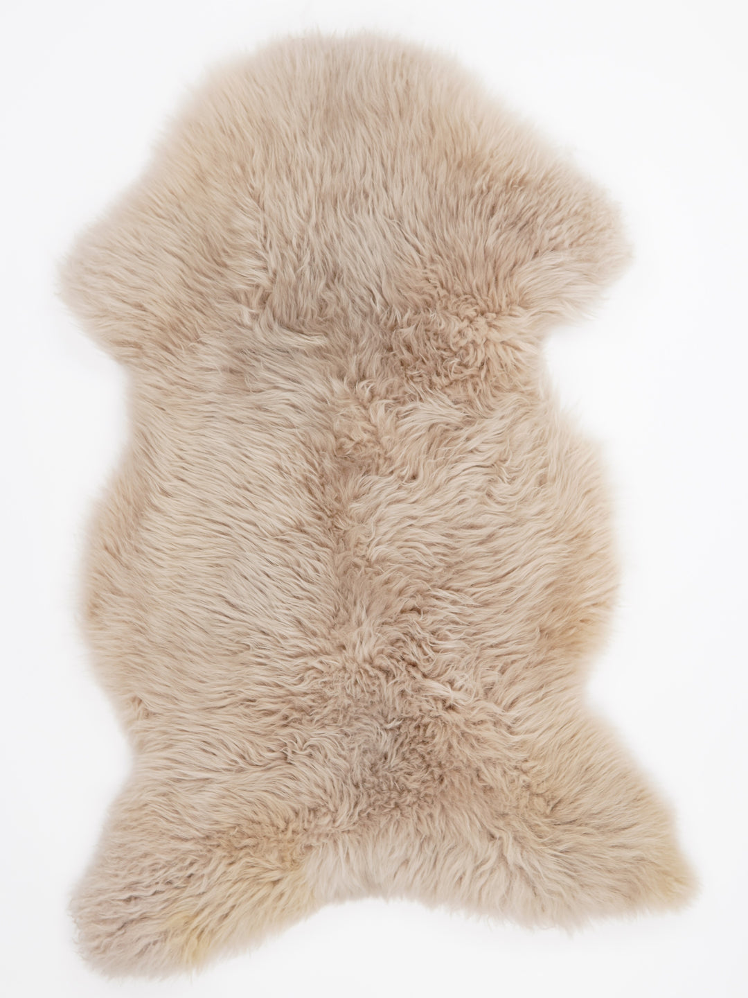 Taupe avikailis XL